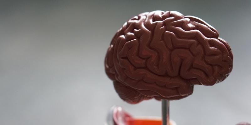 The Integration Process: Making the Most of Your Ketamine Experience - featured image